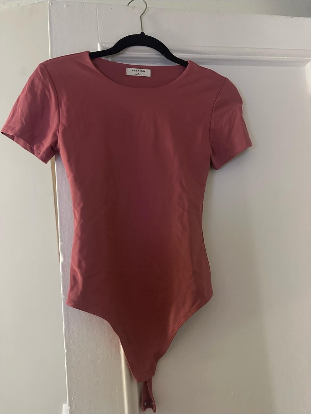 Aritzia Mauve Short-Sleeve Bodysuit